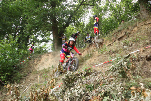 Linda Weber an Querhang im Wald